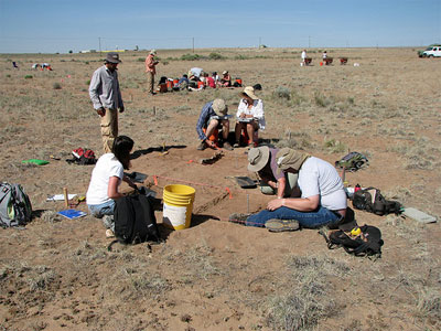 Students working in the field