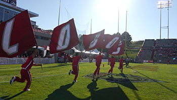 Lobo Spirit!