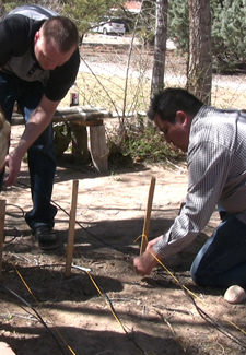 Students work in the Lobo Garden in the backyard of the Real Estate Department office.