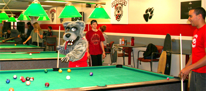 Students Create Communities in Lobo Land [article image]