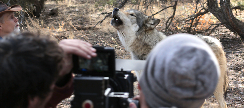 Student Team Creates UNM Institutional Spot [article image]