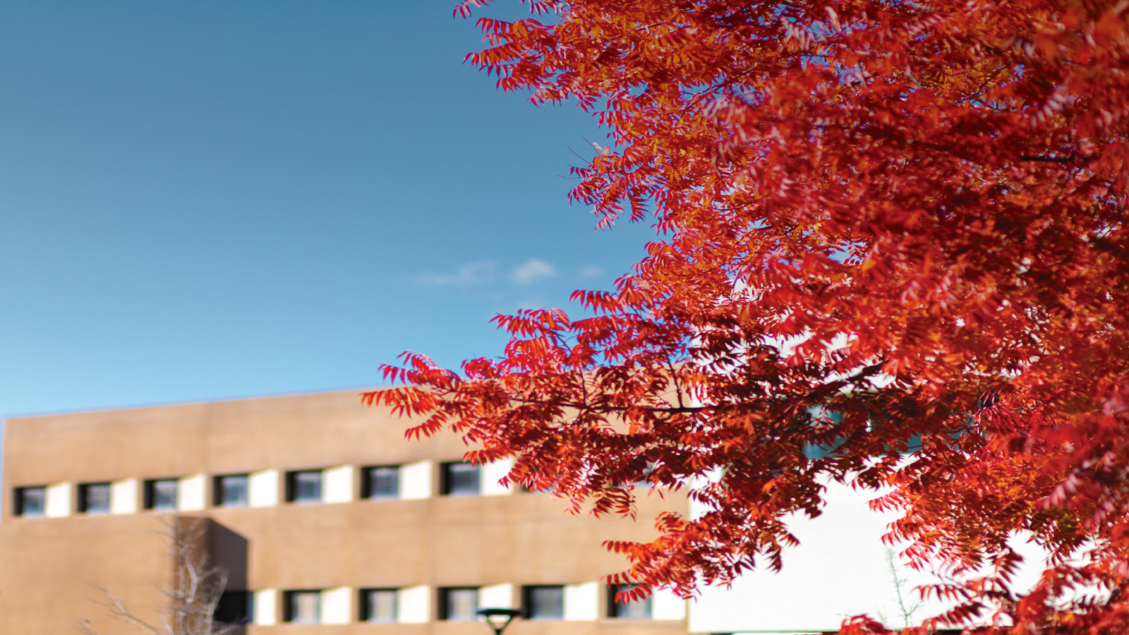 Spring registration begins November 6