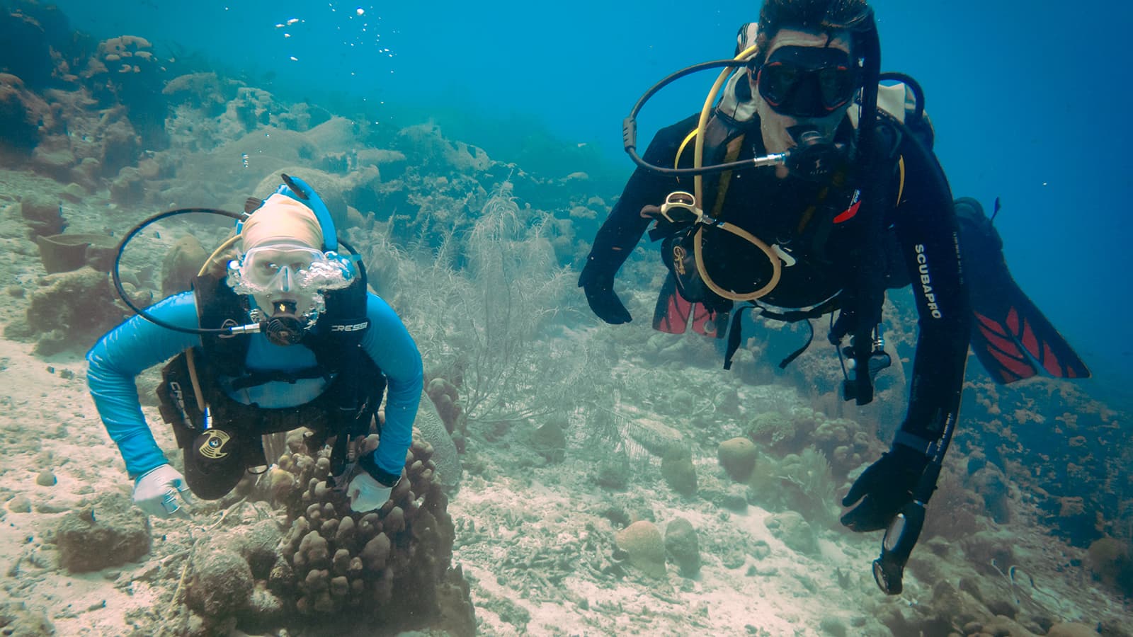 UNM researchers take deep dive into our changing planet with SIMReef project
