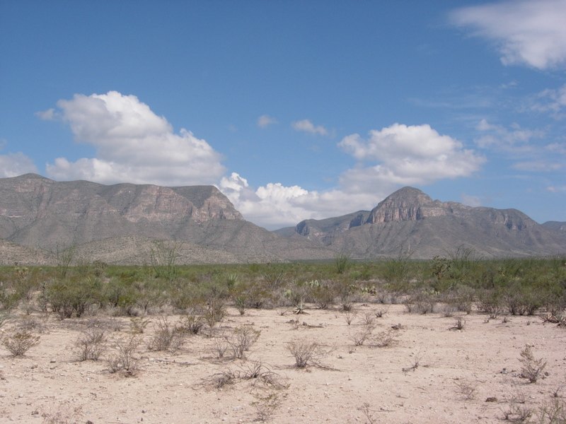 Bolsón de Mapimí