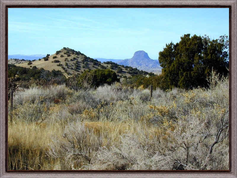 cabezon.jpg (509820 bytes)