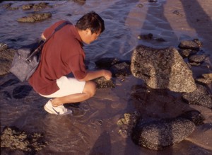 Xiaomin inspecting a tidal ppol near Sonora, Mexico, Oct. 1997