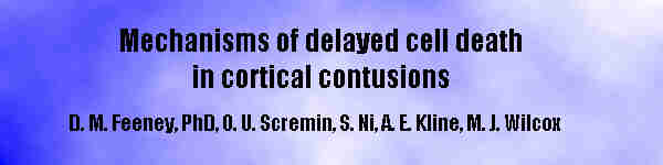 Mechanisms of Delayed Cell Death inCortical Contusions