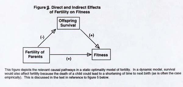 Demographic Transition