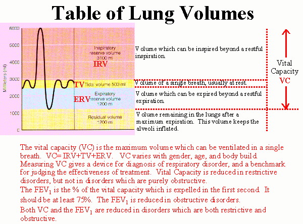 Is residual volume a synonym for dead space volume? If not, then