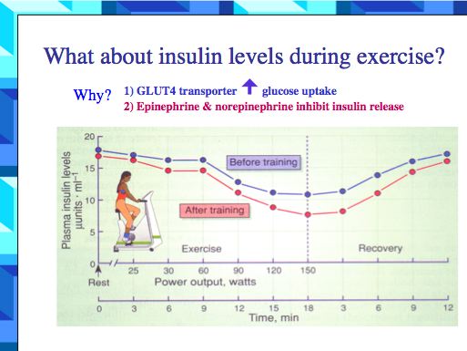 Diabetes Hormone Consequences