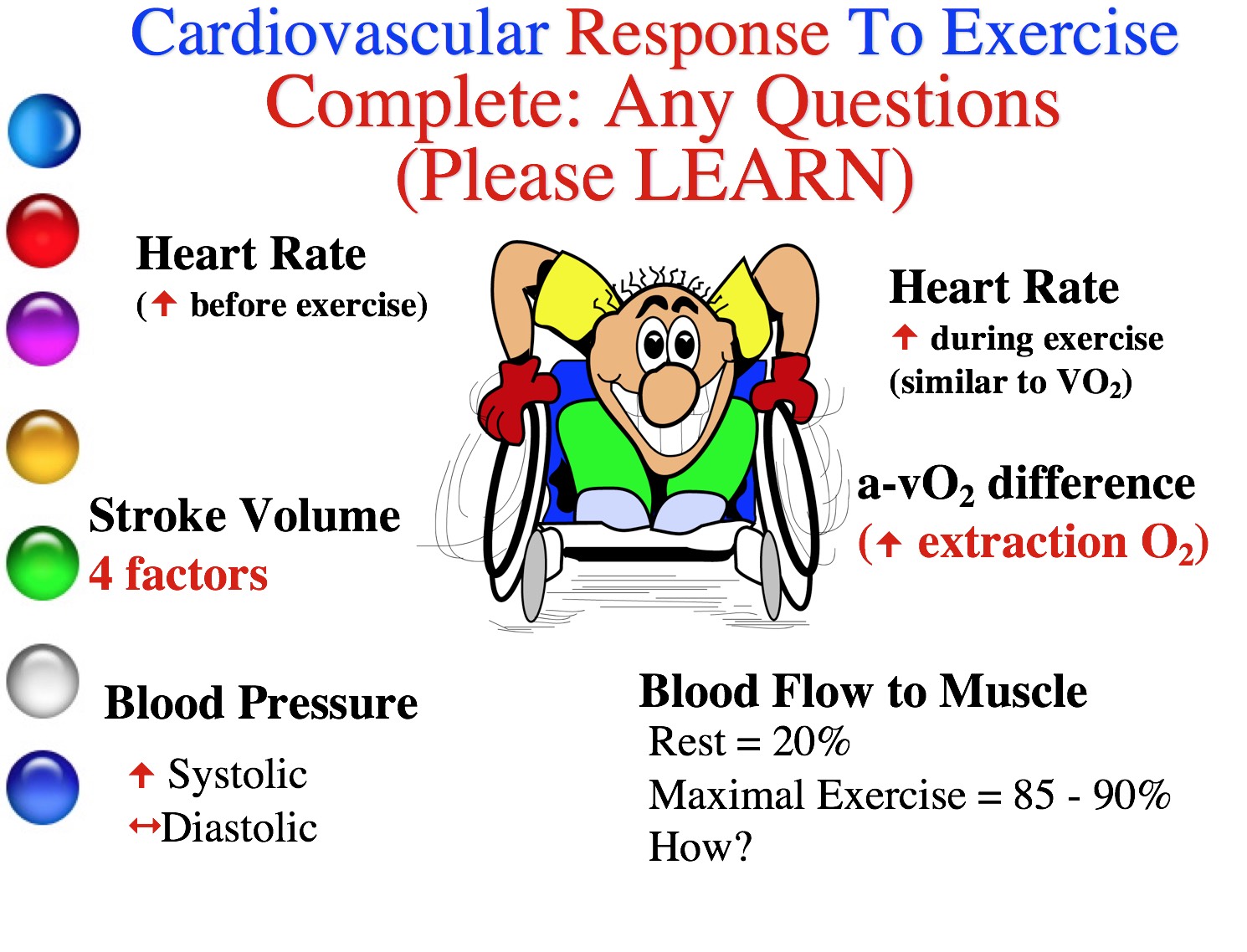 Cardiovascular training adaptations