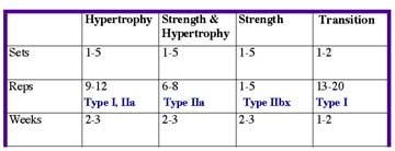 Exercise Periodization Chart