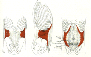 Abdominal Training