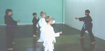 Karate.jpg (12970 bytes)