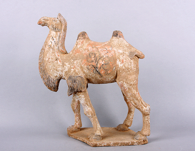 Tang dynasty camel