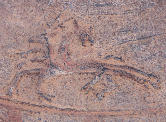 Detail from jar shoulder